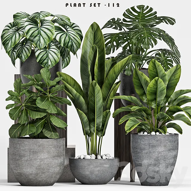 plant set-112 3DModel