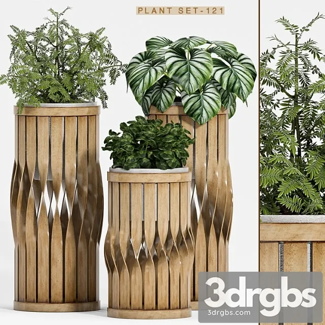 Plant set-121