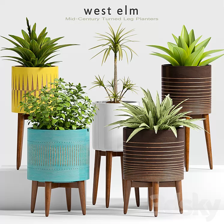 Plant Set -24