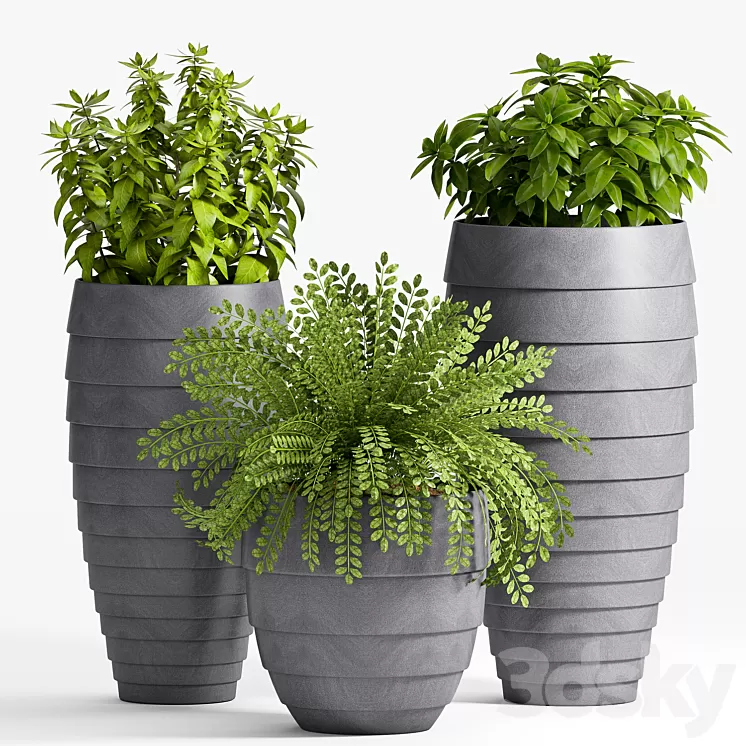 Plant Set -25 3D Model