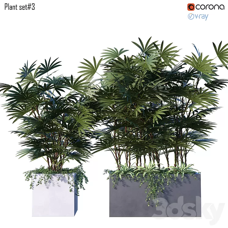 Plant set # 3 3D Model
