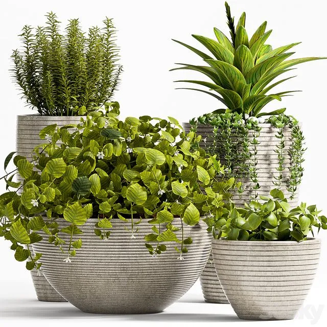 Plant set 57 3D Model