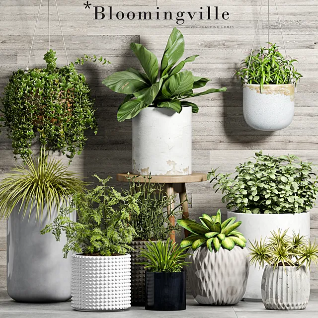 PLANT SET -58 3DModel