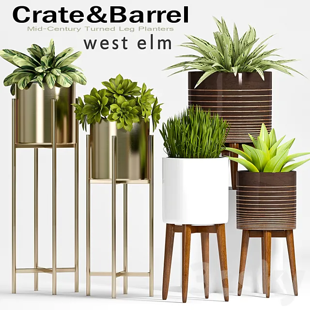 PLANT SET -61 3DModel