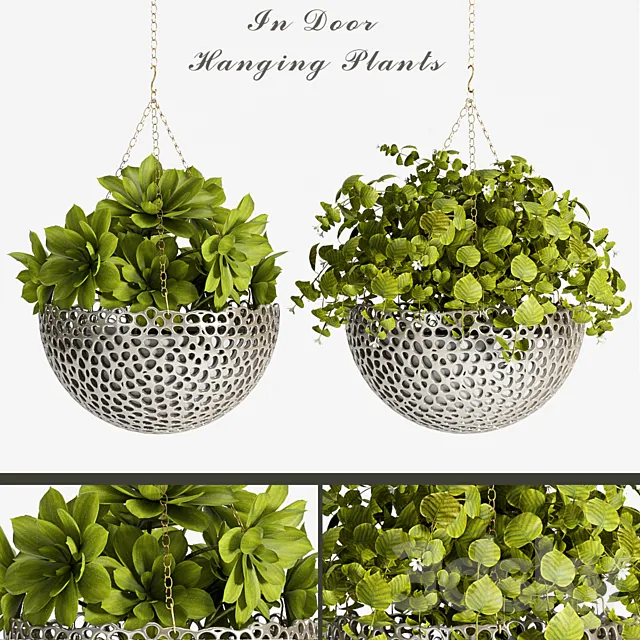 PLANT SET -62 3D Model