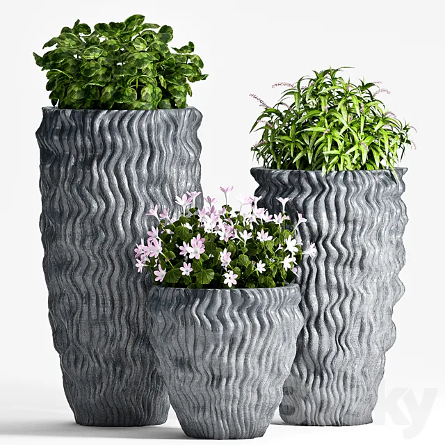 PLANT SET -64 3DModel