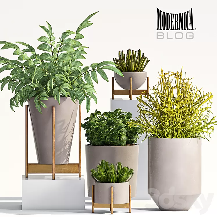 PLANT SET - 66 3D Model