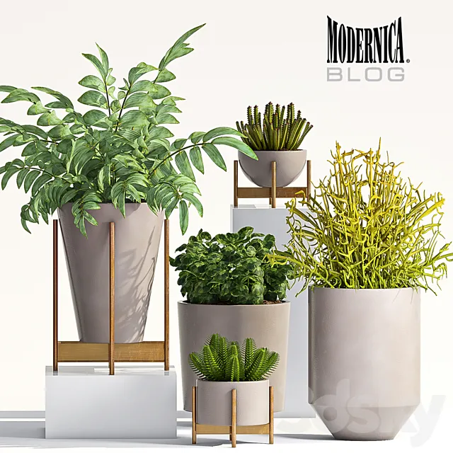 PLANT SET - 66 3DModel
