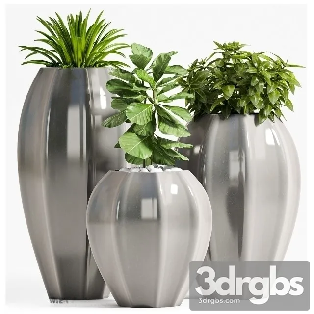 Plant Set 70 3D Model Free