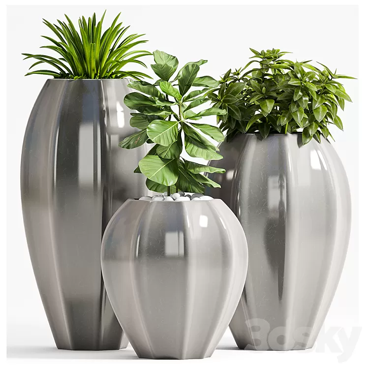 PLANT SET - 70 3D Model