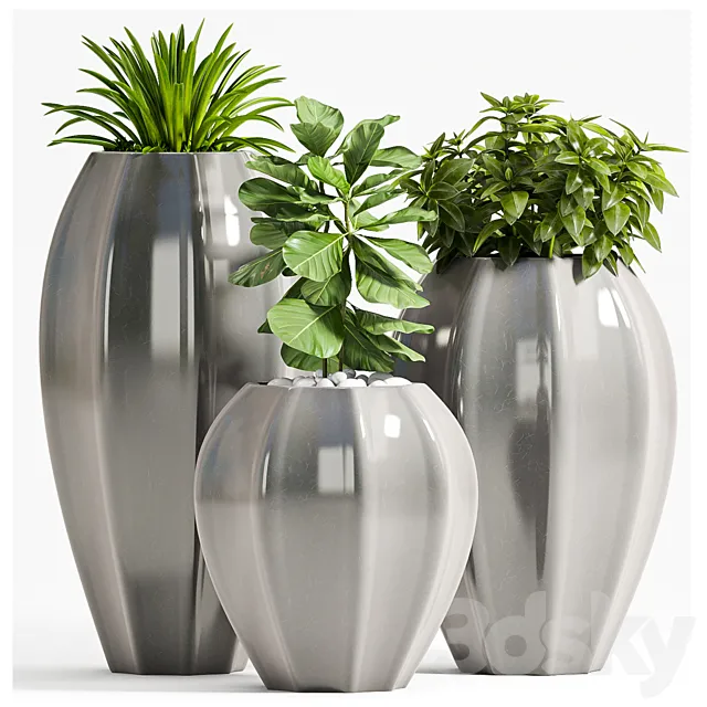 PLANT SET - 70 3DModel