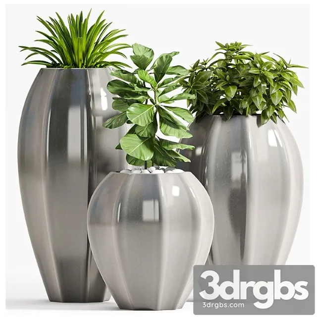 Plant set - 70