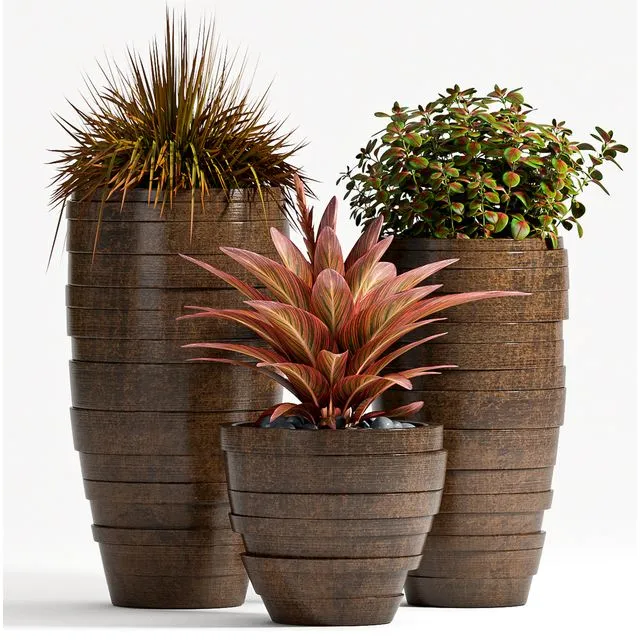 PLANT SET - 72 3D Model