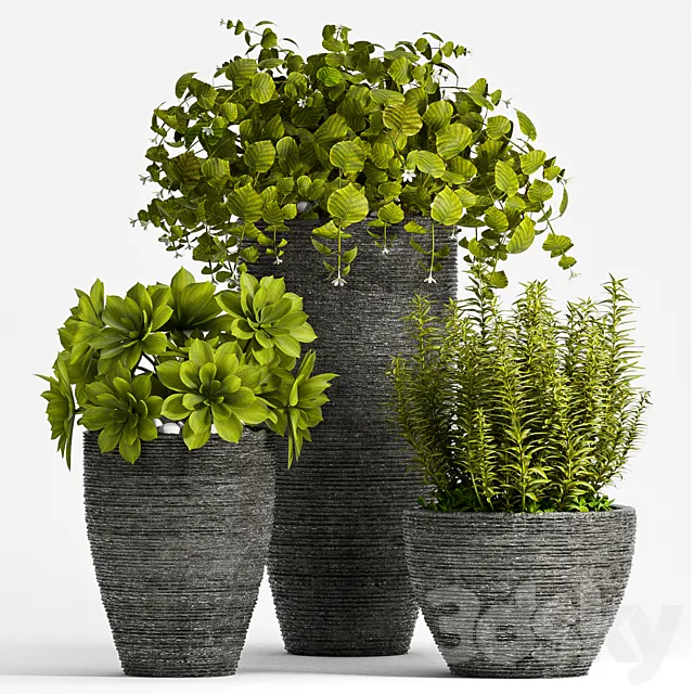 PLANT SET - 75 3D Model