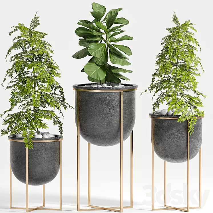 PLANT SET -80 3D Model