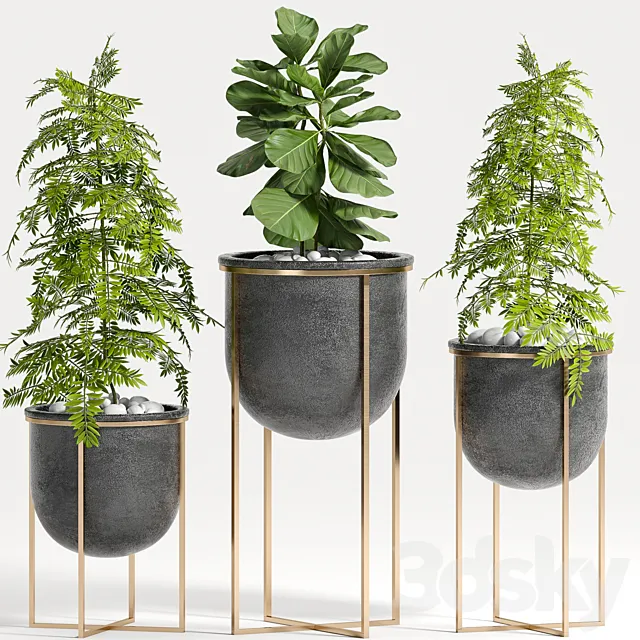 PLANT SET -80 3DModel