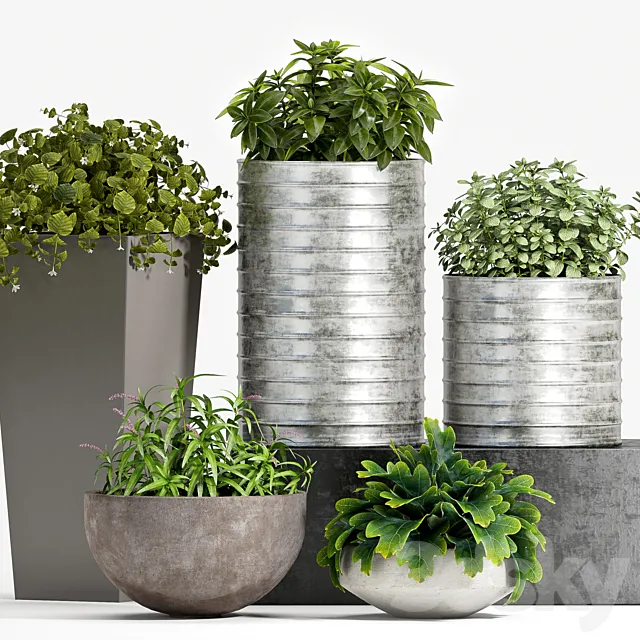 PLANT SET -83 3D Model