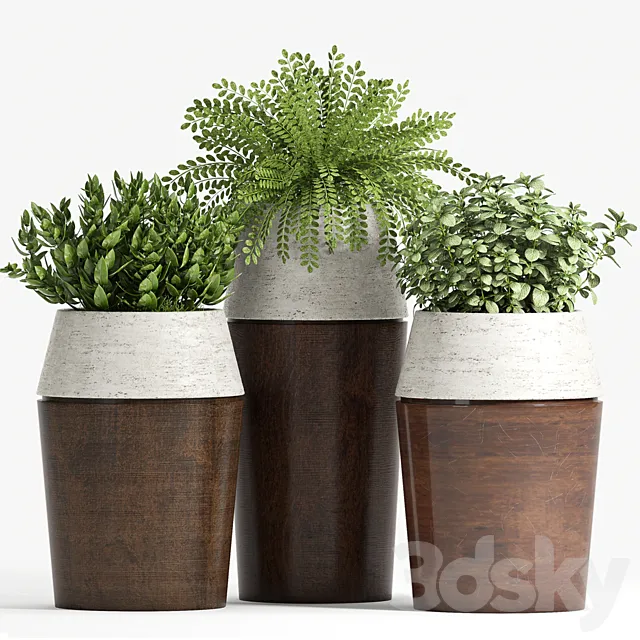 PLANT SET -84 3D Model