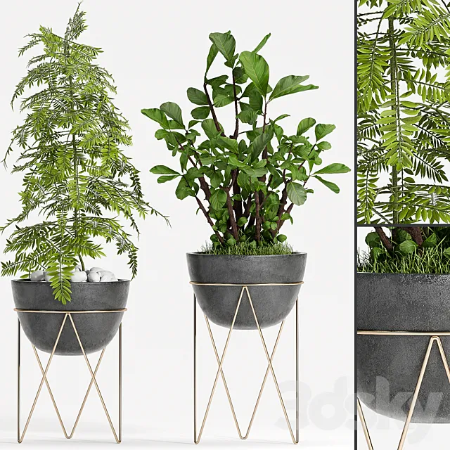 PLANT SET -85 3D Model