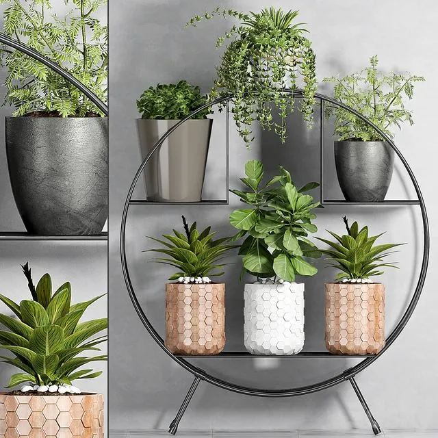 PLANT SET -87 Free Download