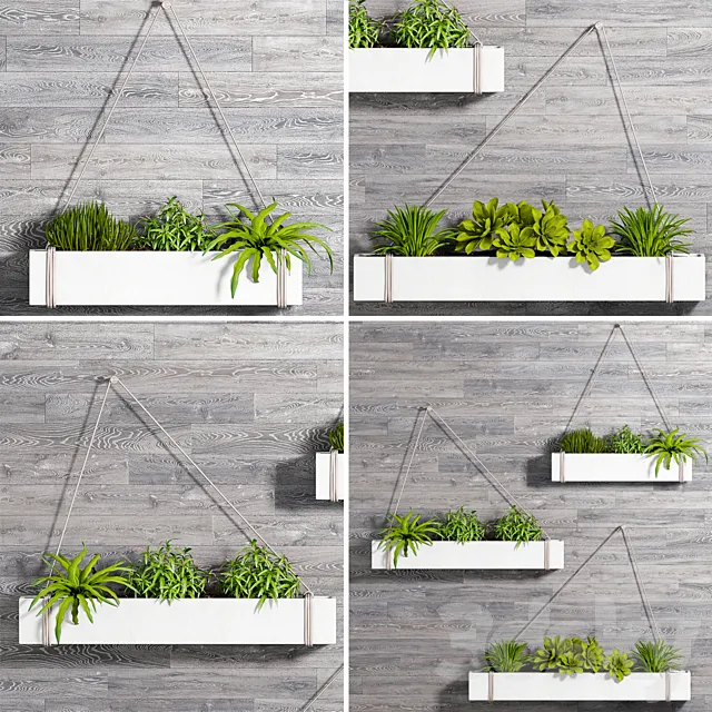 PLANT SET -92 3D Model