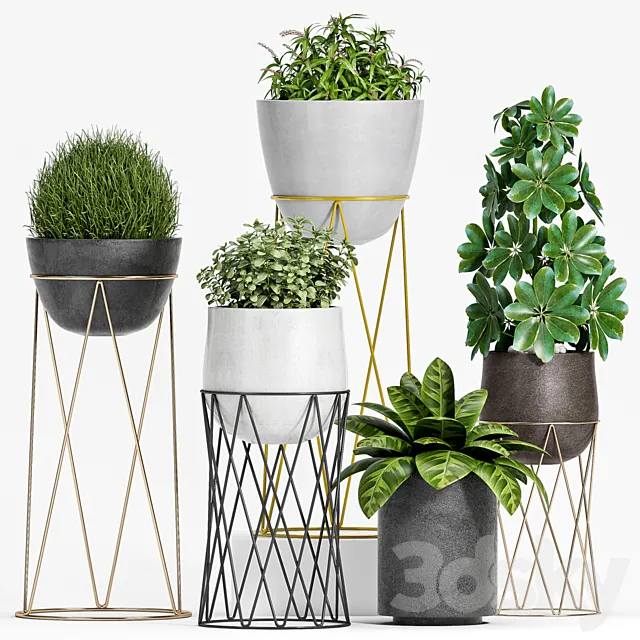 PLANT SET -95 3DModel