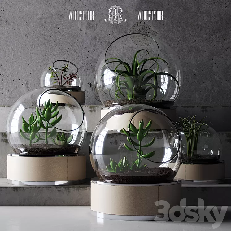 plant set ART Auctor 3D Model
