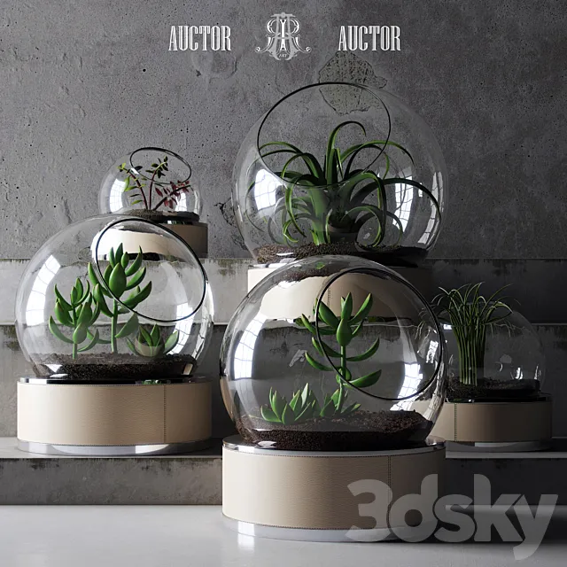 plant set ART Auctor 3DModel