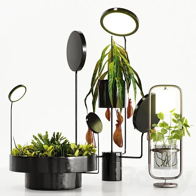 Plant Set With Lights 3D Model