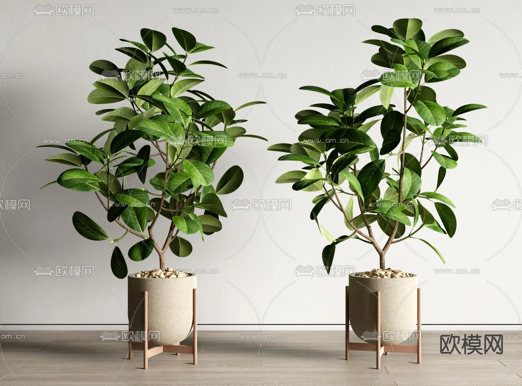 Plant - VRAY / CORONA - 3D MODEL - 402