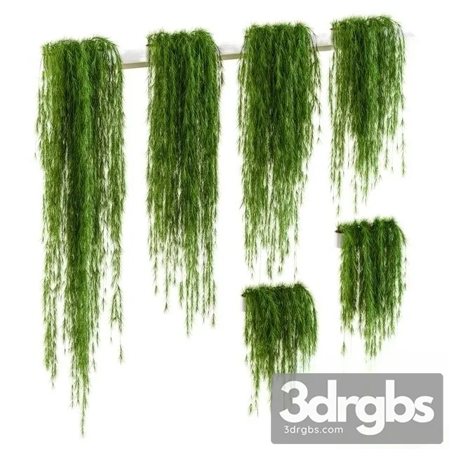 Plant Wall Set 1 3D Model Free