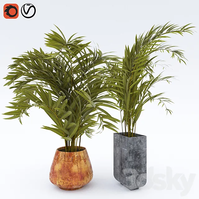 Plant_1 3D Model