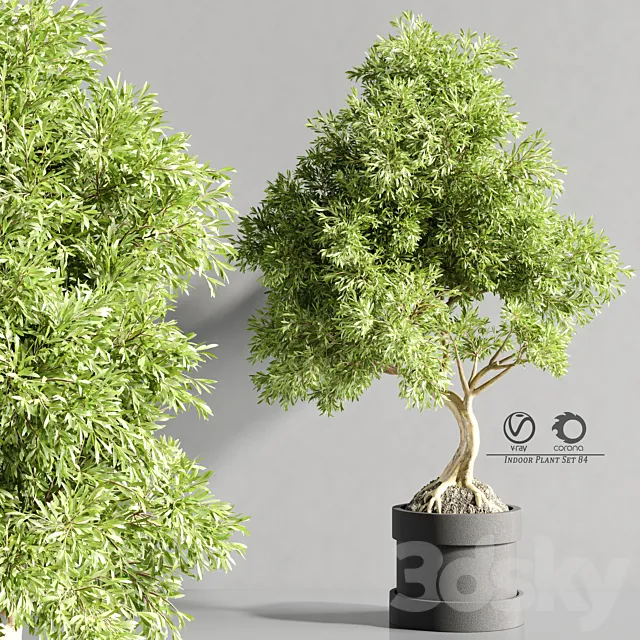 plant_bonsai_07 3D Model