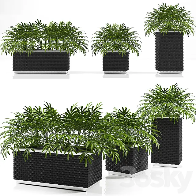 PLANTER BOX 3D Model