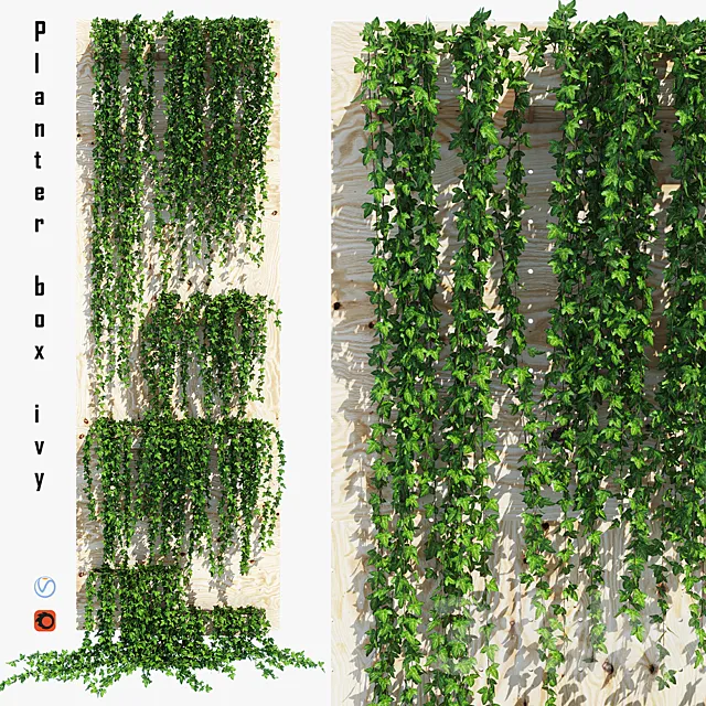 Planter box ivy Free Download