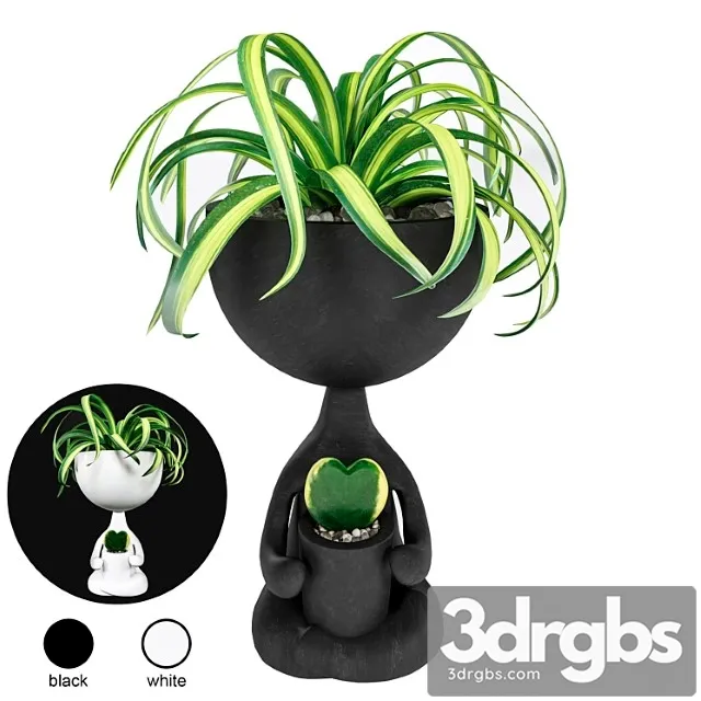 Planter for flowers kelly flowers girl