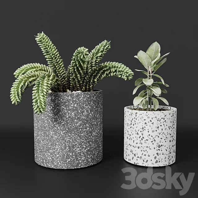 Planter pot Bransc pots 3DModel