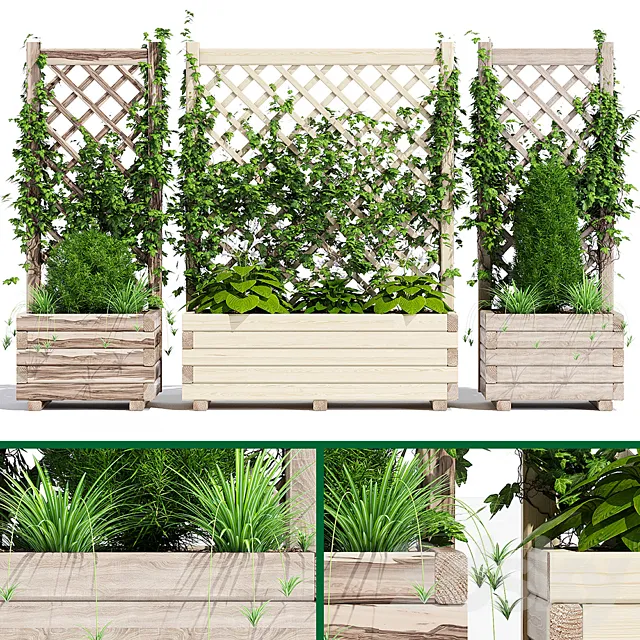 Planter with lattice 3D Model