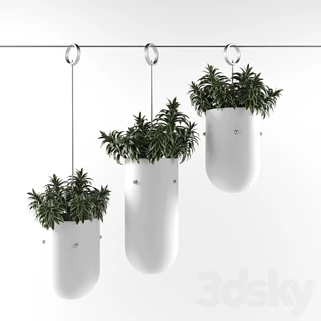 plants 1 3D Model