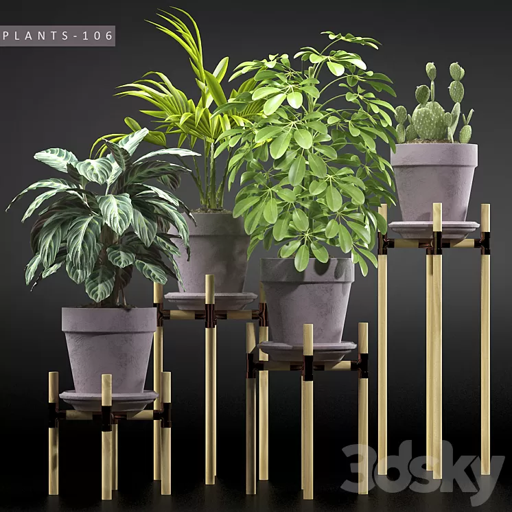 PLANTS 106 3D Model