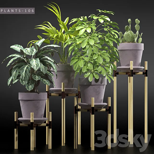 PLANTS 106 3DModel