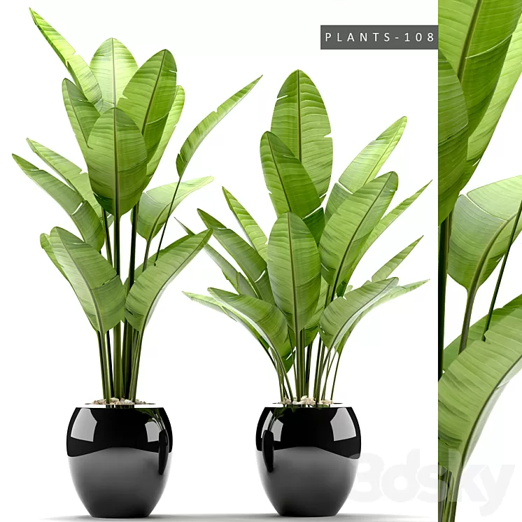 PLANTS 108 3D Model