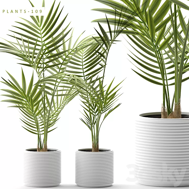 Plants 109 3D Model