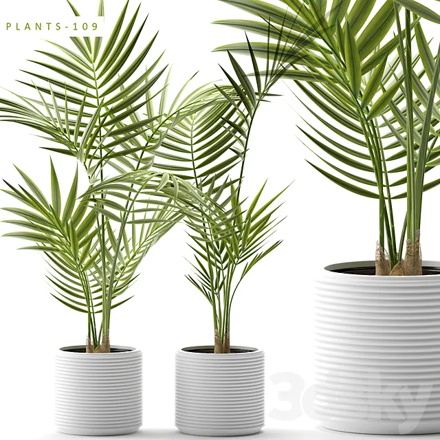Plants 109 3DModel