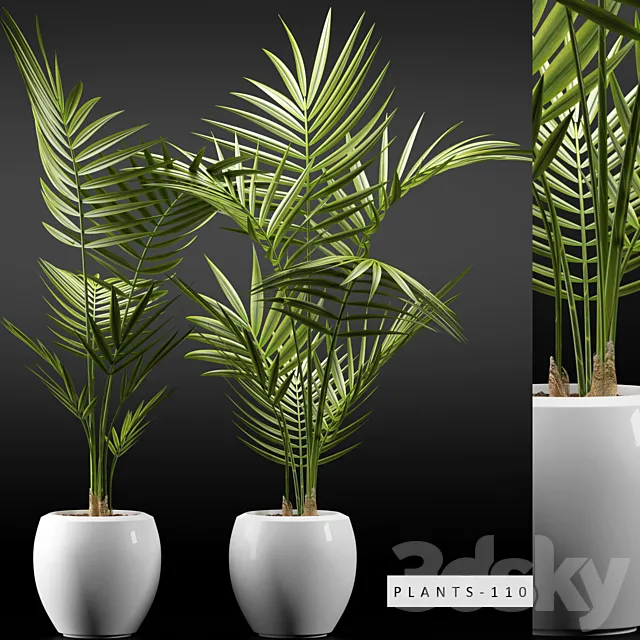 PLANTS 110 3DModel
