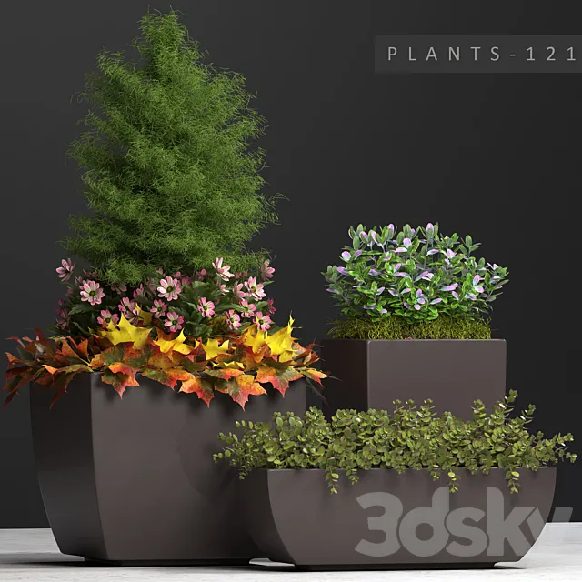 PLANTS 121 3D Model