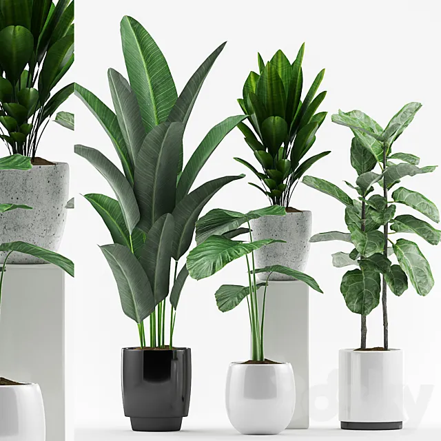 Plants 127 Free Download