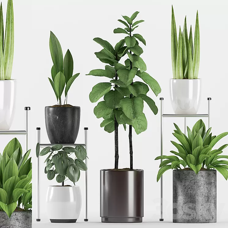 Plants 131 3D Model
