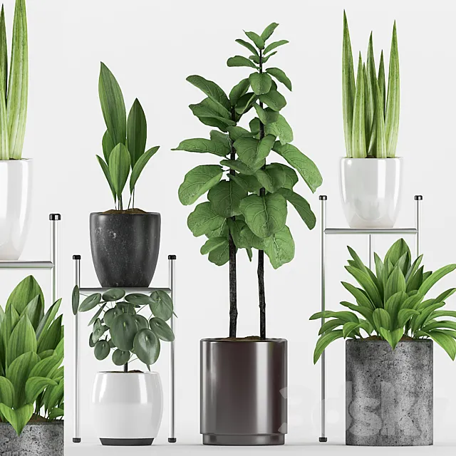 Plants 131 Free Download