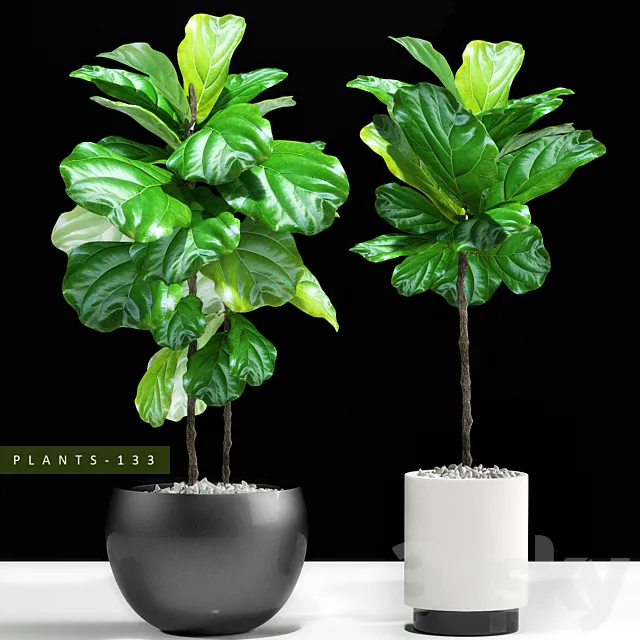 PLANTS 133 Free Download